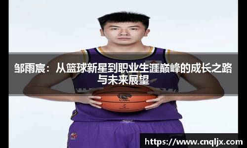 bsports官网入口