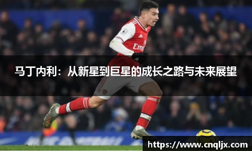 马丁内利：从新星到巨星的成长之路与未来展望